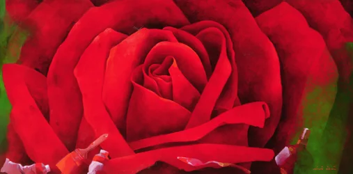 La rose, 1997
